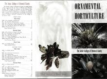 broward_1063-Thumbnail Image.jpg