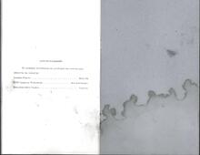 broward_1097-Thumbnail Image.jpg