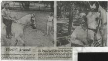 broward_1229-Thumbnail Image.jpg