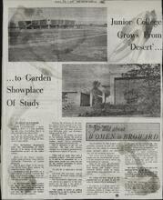 broward_1351-Thumbnail Image.jpg
