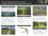 broward_1437-Thumbnail Image.png