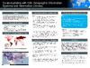 broward_1645-Thumbnail Image.png