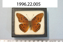 broward_190-Thumbnail Image.jpg