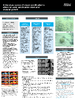 broward_2277-Thumbnail Image.png