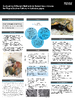 broward_2280-Thumbnail Image.png