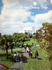 broward_333-Thumbnail Image.png