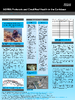 broward_5781-Thumbnail Image.png
