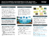 broward_5782-Thumbnail Image.png