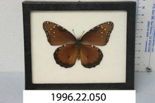 broward_63-Thumbnail Image.jpg