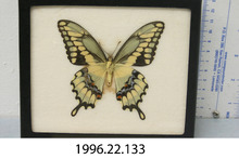 broward_69-Thumbnail Image.jpg