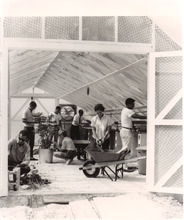broward_694-Thumbnail Image.jpg