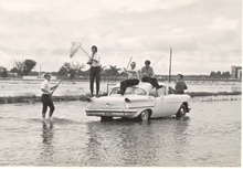 broward_699-Thumbnail Image.jpg