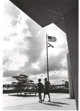 broward_700-Thumbnail Image.jpg