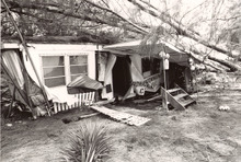 broward_815-Thumbnail Image.jpg