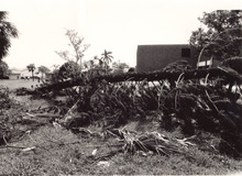 broward_817-Thumbnail Image.jpg